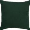 JAMES - Kussenhoes Katoen 45x45 Cm - Mountain View - Donkergroen - Exclusief Binnenkussen 2 JAMES - Kussenhoes Katoen 45x45 Cm - Mountain View - Donkergroen - Exclusief Binnenkussen -Dutch Decor 1200x1163