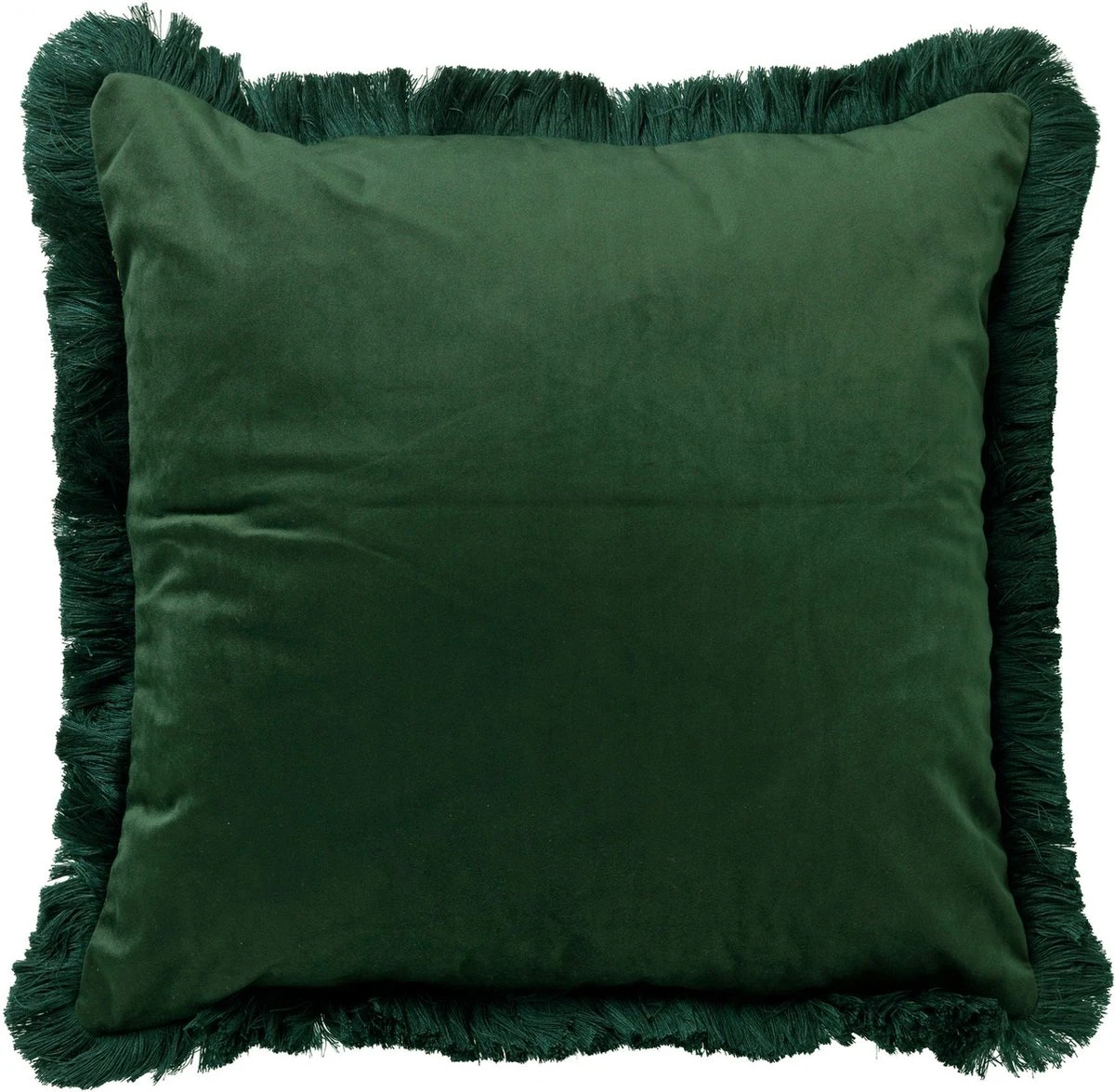 FAUNA - Sierkussen Velvet 45x45 Cm - Chive - Groen - Botanisch - Franjes - Inclusief Binnenvulling 6 FAUNA - Sierkussen Velvet 45x45 Cm - Chive - Groen - Botanisch - Franjes - Inclusief Binnenvulling - Afbeelding 4