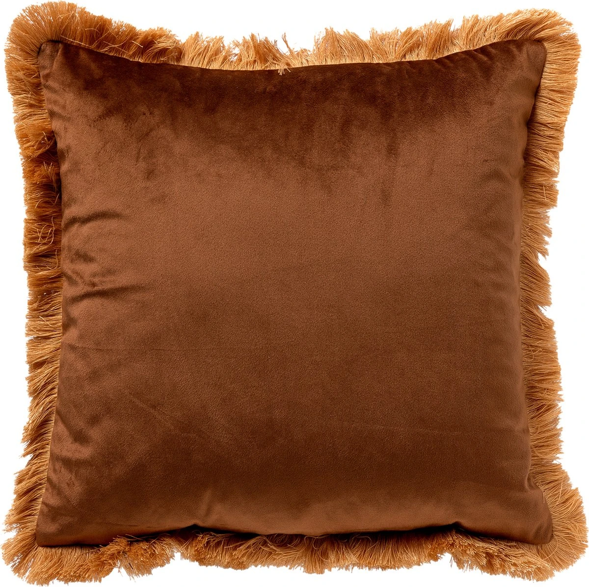 JONI - Sierkussen 45x45 Cm Semolina - Beige - Inclusief Binnenkussen 4 JONI - Sierkussen 45x45 Cm Semolina - Beige - Inclusief Binnenkussen - Afbeelding 2