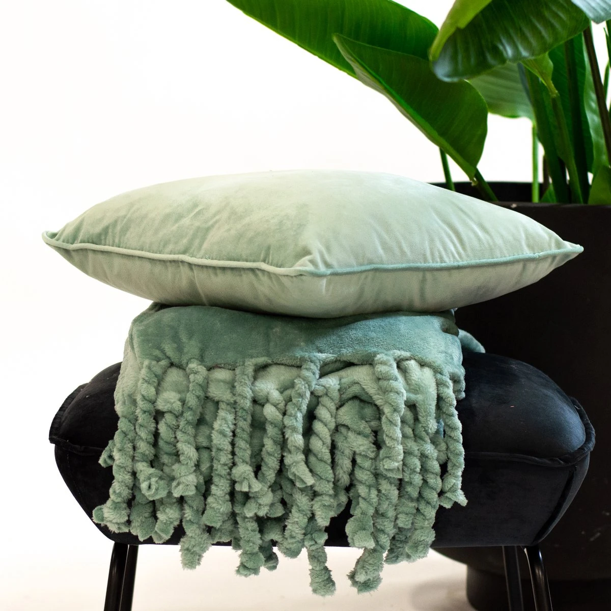 Dutch Decor - FLORIJN - Plaid Fleece 150x200 Cm - Jadeite - Lichtgroen - Superzacht - Met Franjes - Deken 5 Dutch Decor - FLORIJN - Plaid Fleece 150x200 Cm - Jadeite - Lichtgroen - Superzacht - Met Franjes - Deken - Afbeelding 3