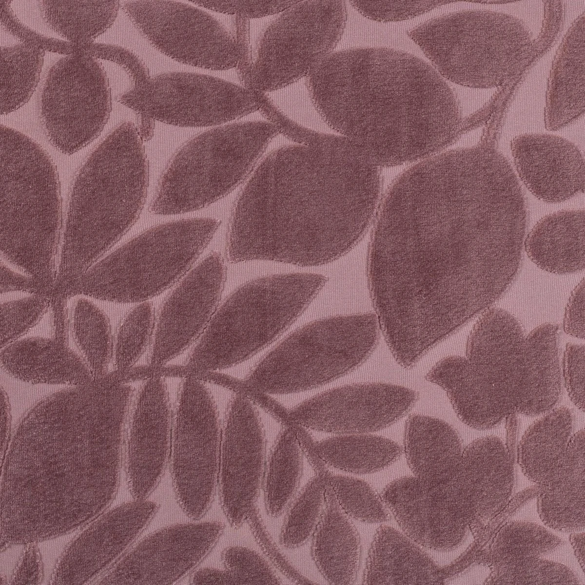 FRIDA - Sierkussen Pruim 45x45 Cm - Roze - Inclusief Binnenkussen 6 FRIDA - Sierkussen Pruim 45x45 Cm - Roze - Inclusief Binnenkussen - Afbeelding 4