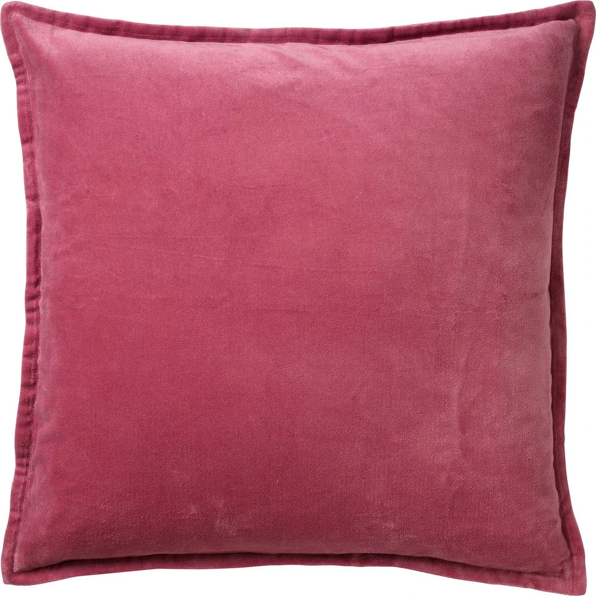 CAITH - Sierkussen Velvet 100% Katoen 50x50 Cm - Heather Rose - Roze - Inclusief Binnenvulling 3 CAITH - Sierkussen Velvet 100% Katoen 50x50 Cm - Heather Rose - Roze - Inclusief Binnenvulling
