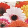 SAMARA - Sierkussen Gerbera's - Fuchsia - 30x50 Cm - Inclusief Binnenkussen 2 SAMARA - Sierkussen Gerbera's - Fuchsia - 30x50 Cm - Inclusief Binnenkussen -Dutch Decor 1200x734
