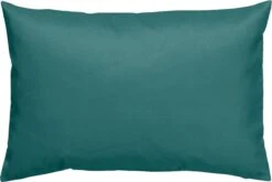 Dutch Decor - SANTORINI - Outdoor Sierkussen 40x60 Cm - Waterafstotend En Uv-bestendig - Sagebrush Green - Groen - Buitenkussen - Tuinkussen - Loungekussen- Voor Buiten
